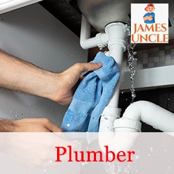 Plumber Mr. Babu Das in Sodepur